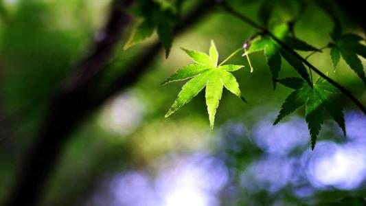图片 _ 第(2)张