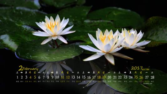 图片 _ 第(1)张
