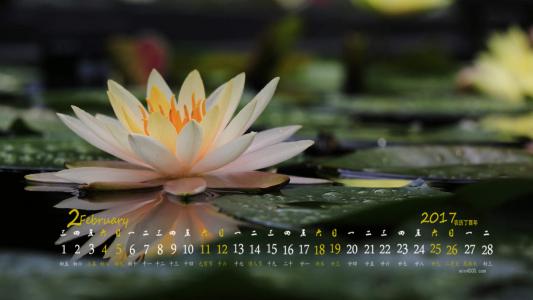 图片 _ 第(2)张