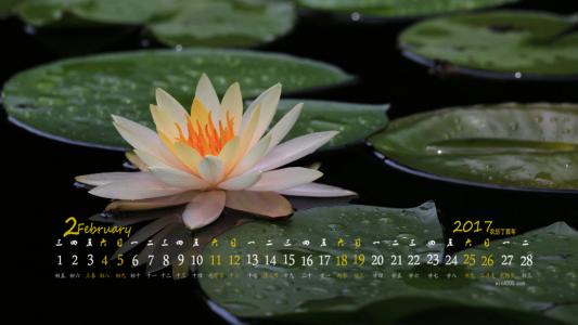 图片 _ 第(3)张