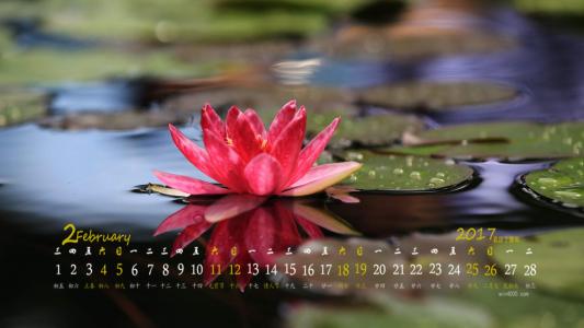 图片 _ 第(5)张