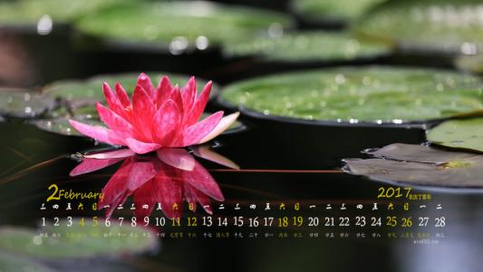 图片 _ 第(6)张