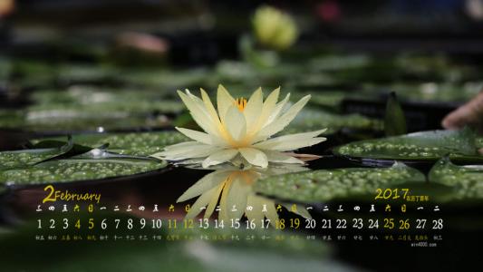 图片 _ 第(7)张