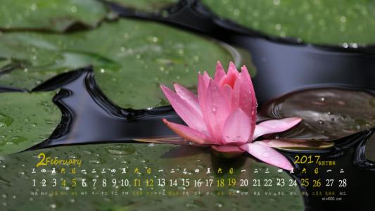 图片 _ 第(8)张