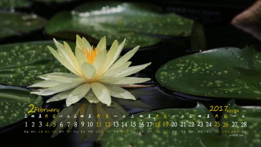 图片 _ 第(9)张