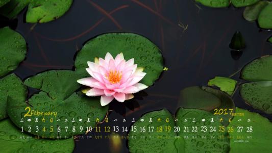 图片 _ 第(10)张