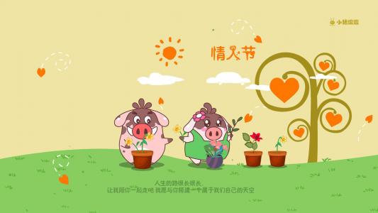 第3张