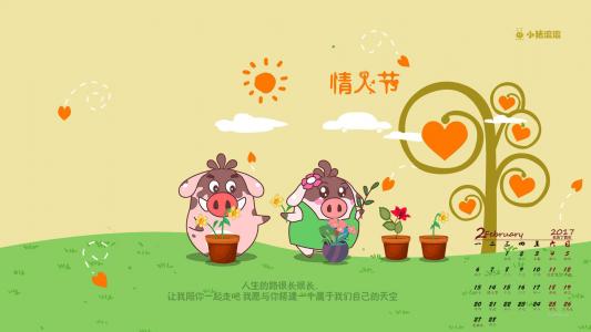 第3张