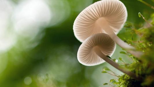 图片 _ 第(9)张