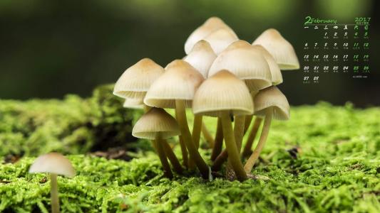 图片 _ 第(2)张