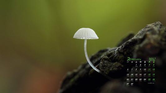 图片 _ 第(4)张