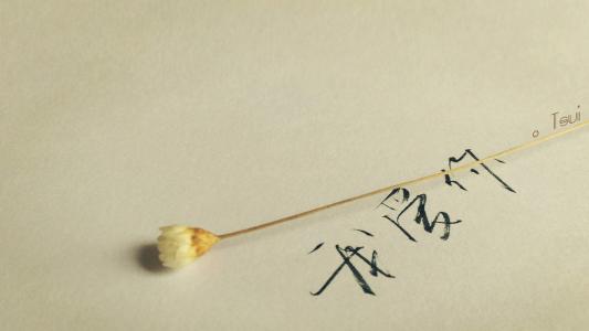 伤感文字语录图片手机壁纸第0张