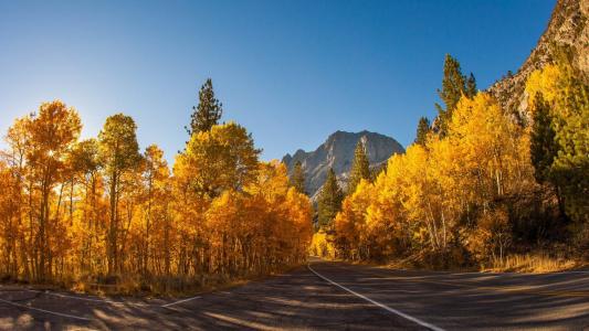 图片 _ 第(1)张