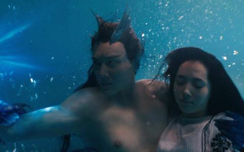 那片星空那片海冯绍峰郭碧婷桌面壁纸第2张