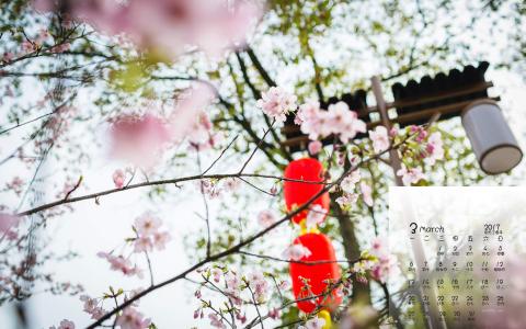 梅花第0张