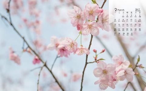梅花第2张