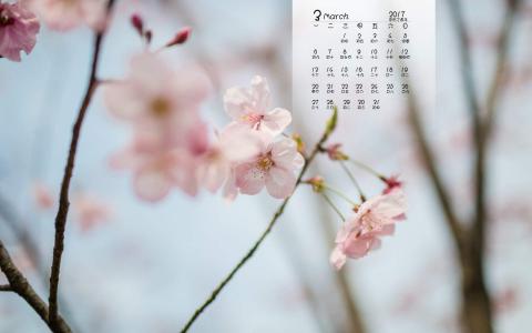 梅花第3张