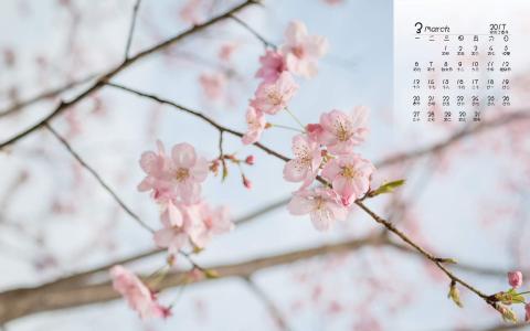 梅花第4张
