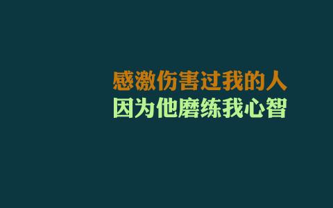 第2张