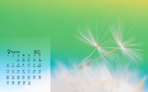 蒲公英图片 _ 第(6)张