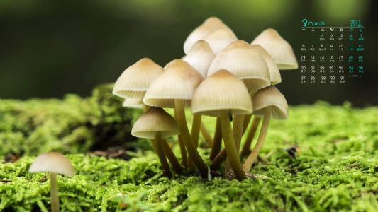 图片 _ 第(3)张