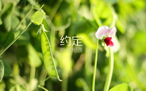 伤感文字图片 _ 第(1)张