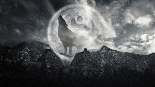 狼图片图片 _ 第(1)张