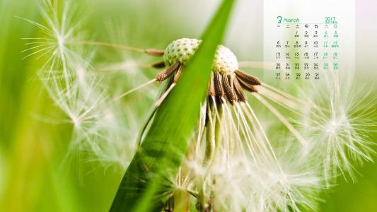 第3张