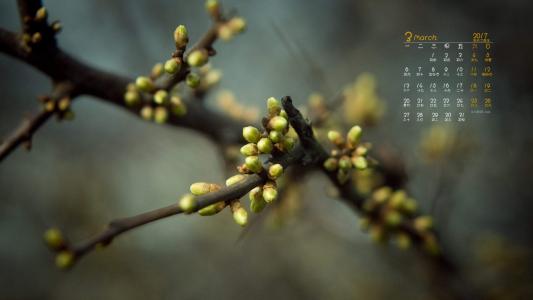 清新护眼绿色嫩芽图片桌面壁纸第6张