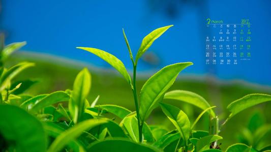 图片 _ 第(5)张