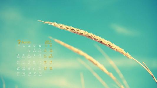 第1张