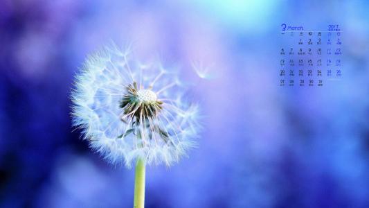蒲公英小清新桌面壁纸下载第二辑第3张