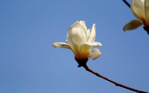 图片 _ 第(4)张