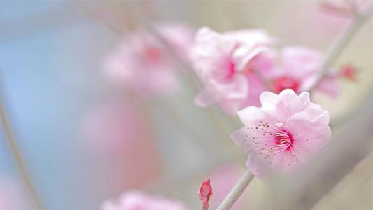 图片 _ 第(1)张
