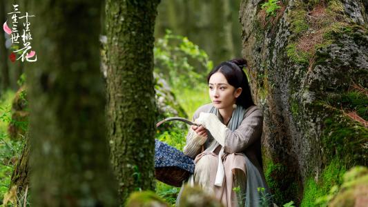 三生三世十里桃花图片 _ 第(10)张