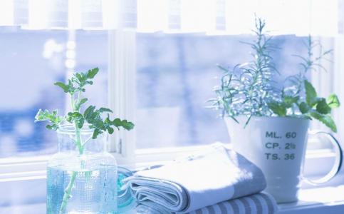 绿色植物盆栽清新摄影高清桌面壁纸下载第4张
