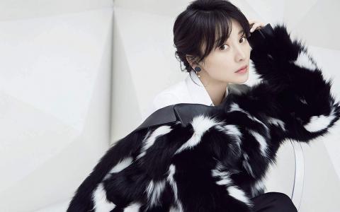 中国内地湖南衡阳女演员温婉盘发柳岩知性优雅气质写真第0张