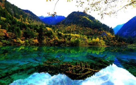 高清美景九寨沟唯美自然风景手机壁纸第1张