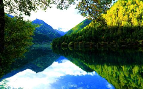 高清美景九寨沟唯美自然风景手机壁纸第2张