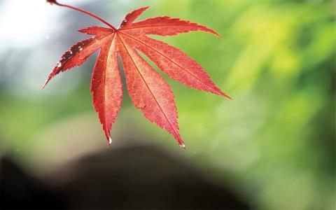 自然风景图片 _ 第(9)张