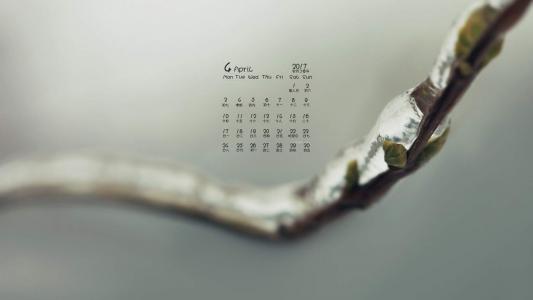 绿色嫩芽微距摄影图片电脑桌面壁纸第5张