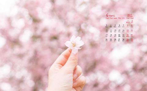 樱花图片图片 _ 第(2)张