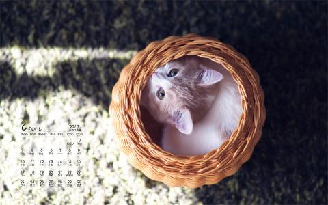 90后性感小猫咪写真第2张
