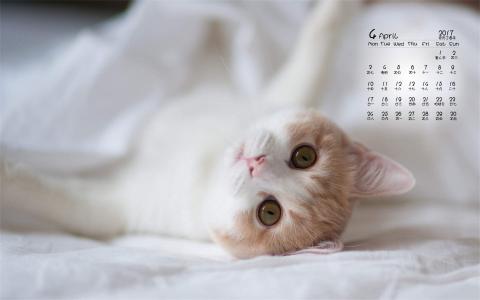 90后性感小猫咪写真第3张