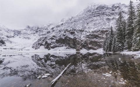 冬日雪景图片 _ 第(3)张