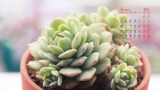 图片 _ 第(6)张