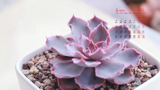 图片 _ 第(8)张