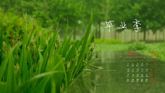 伤感文字图片 _ 第(9)张