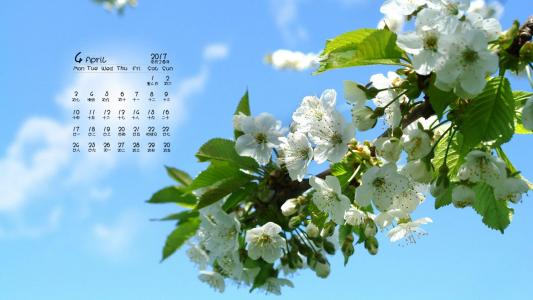 2017年4月唯美樱花风景日历壁纸第2张
