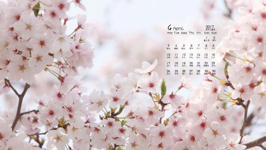 2017年4月唯美樱花风景日历壁纸第6张